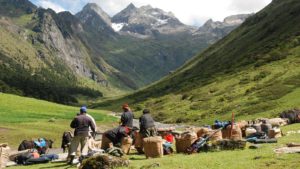 Trekking staff getting ready to load the yaks