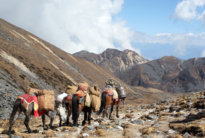 Dagala Thousand Lakes Trek in Bhutan. Trekking in Bhutan.