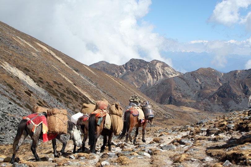 Dagala Thousand Lakes Trek in Bhutan. Trekking in Bhutan.