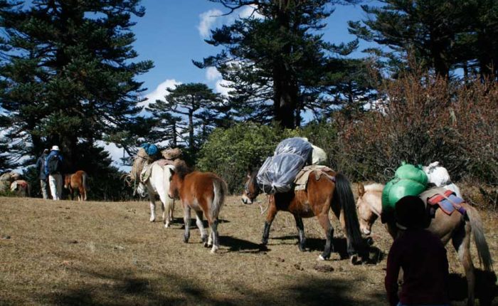 Trekking in Bhutan. Bumthang culturla trek.