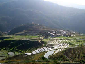 Chimi Lhakhang in Punakha - Bhutan Acorn Tours * Travel