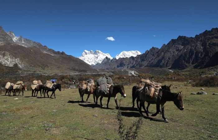 Trekking in Bhutan