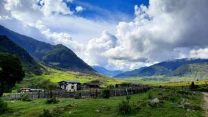 Green Phobjikha valley in early August