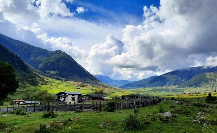 Green Phobjikha valley in early August