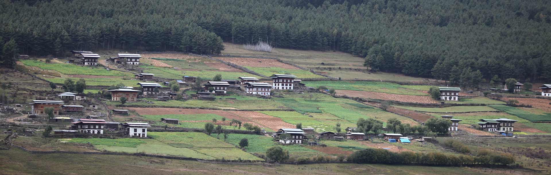 A village in Phobjikha valley